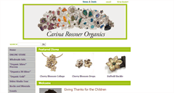 Desktop Screenshot of carinarossner.com