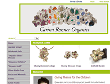 Tablet Screenshot of carinarossner.com